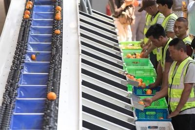 強省會戰略下內陸地區的發展挑戰 初級農產品產地的出路何在？