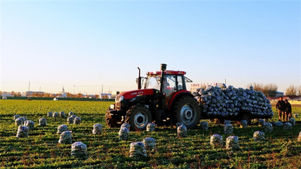 全民真香節再度重補農產品 拼多多百億補貼覆蓋超3萬款初級農產品