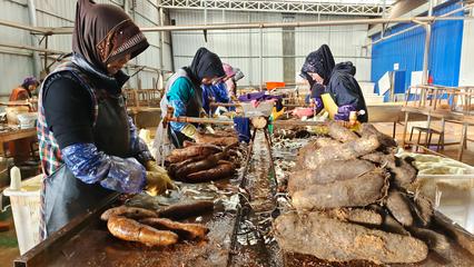 文山市紅甸鄉山藥初加工破解銷售困局