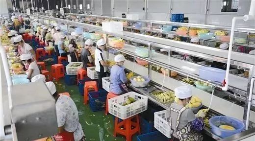 扎心了！誰說農產品深加工只能做吃喝？日本已經‘玩出花’了！