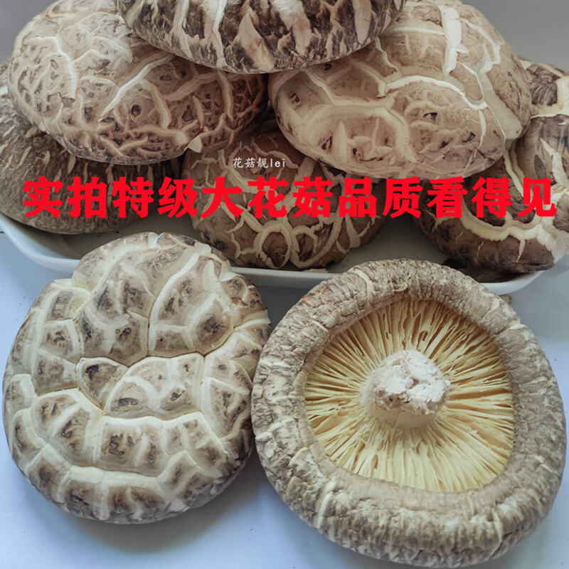 厘米椴木大香菇 探秘優(yōu)質(zhì)初級(jí)農(nóng)產(chǎn)品的魅力