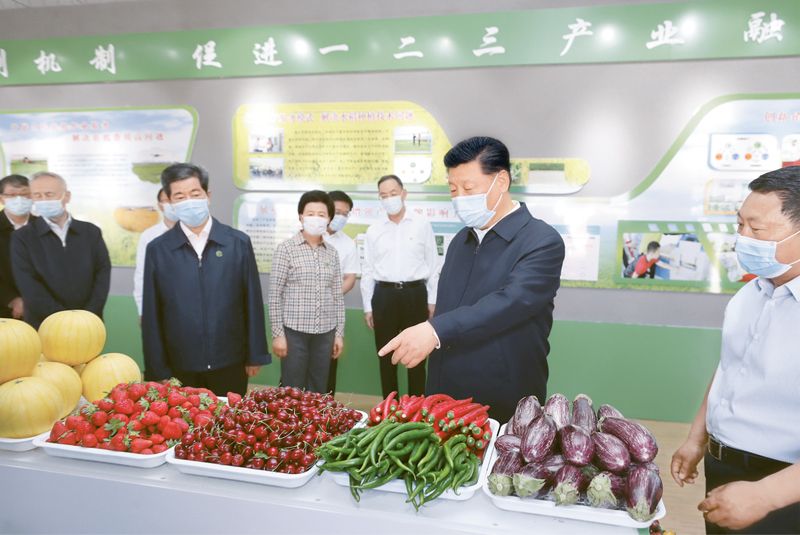 不斷開拓當(dāng)代中國(guó)馬克思主義政治經(jīng)濟(jì)學(xué)新境界——以初級(jí)農(nóng)產(chǎn)品為視角的實(shí)踐與探索