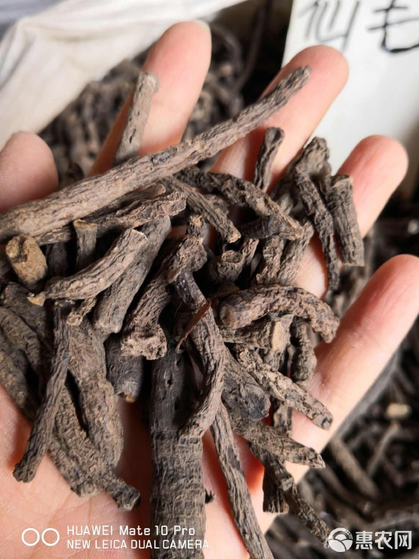 仙茅 優質干貨，量大從優，綠色初級農產品